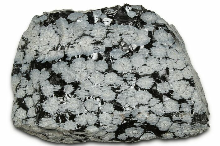 Snowflake Obsidian Section - Utah #327108